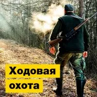 Ходовая охота, как подготовиться и что нужно знать | Полезная информация | БлокПОСТ