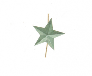 Звезда (защитная) 20 мм 