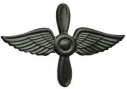 Эмблема  ВВС (защитная) крылья нового образца