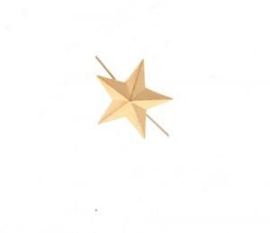Звезда (золотая) 16 мм 