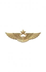 Эмблема на тулью ВВС (металлическая, цвет золотой) нового образца