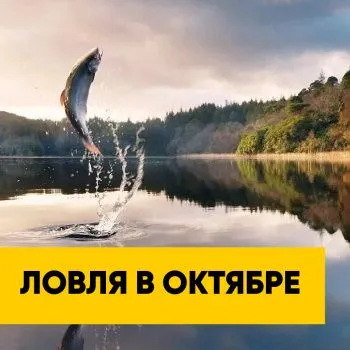 Особенности ловли рыбы в октябре | Полезная информация | БлокПОСТ